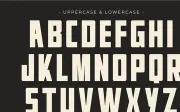 Bohemia - Modern Sans Serif Font