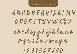 Camelia - Script Font