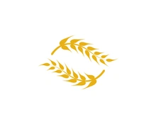 Agriculture wheat vector