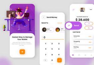 Wallet App UI Comcept