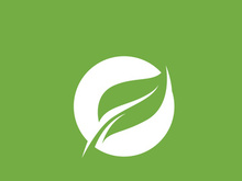 Leaf logo green nature vector image