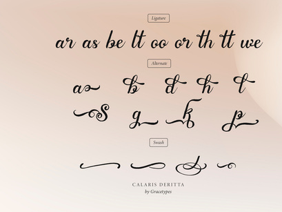 Calaris Deritta | Brush Handwritten Script