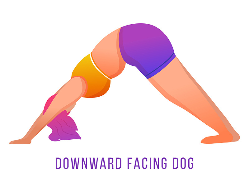 Downward facing dog pose flat vector illustration