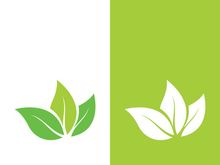 Logos of green tree leaf ecology nature element vector