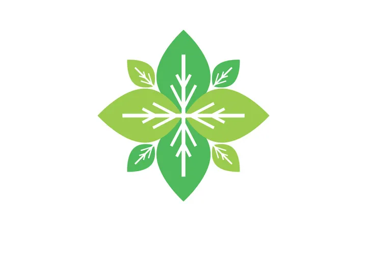 Nature leaf eco green logo icon