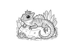 Crowned lizard king on rock vector illustration flat design
