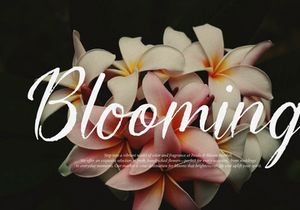 Yonella | Handwritten Solid Script