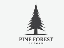 Forest Logo, Vector Forest Wood With Pine Trees Design