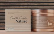 Corlenois Signature | Stylish Signature