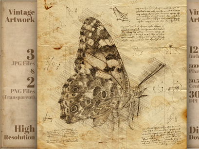 Butterfly in Vintage Steampunk Da Vinci Drawing Style