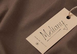 Stelaroy | Stylish Signature
