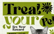 Quowist Display - Modern Unique Serif Display Font