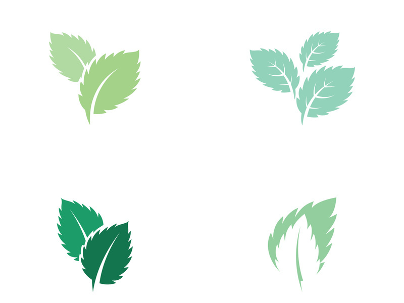 Mint Leaf icon template illustration