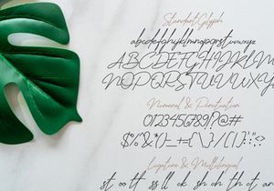 Jhenyta Signature Script