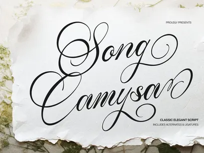 Song Camysa | Classic Elegant Script