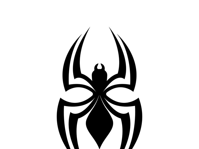 Spider logo icon design vector template