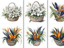 Watercolor Floral Flower Basket Design