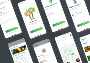 Momo UI Kit