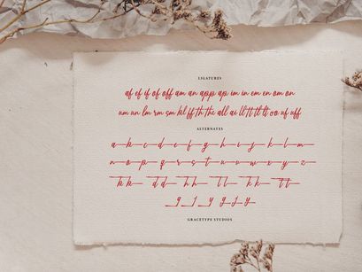 Qandeliya | Handwritten Signature