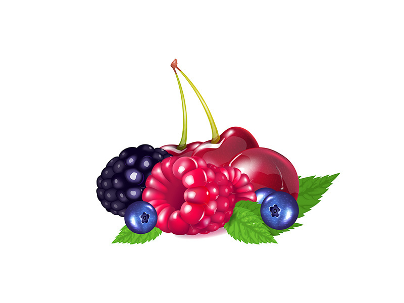 Ripe berries realistic vector illustration