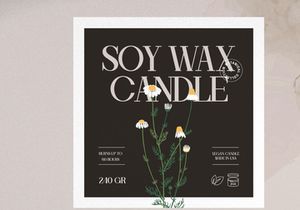 Ronale Classic | Handmade Serif