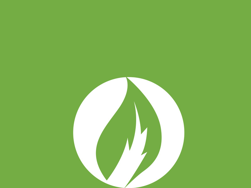 Leaf logo green nature vector image
