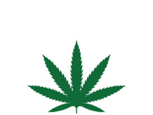 Canabis leaf logo and symbol vector