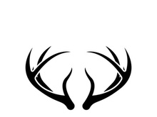 Deer logo template vector icon illustration design
