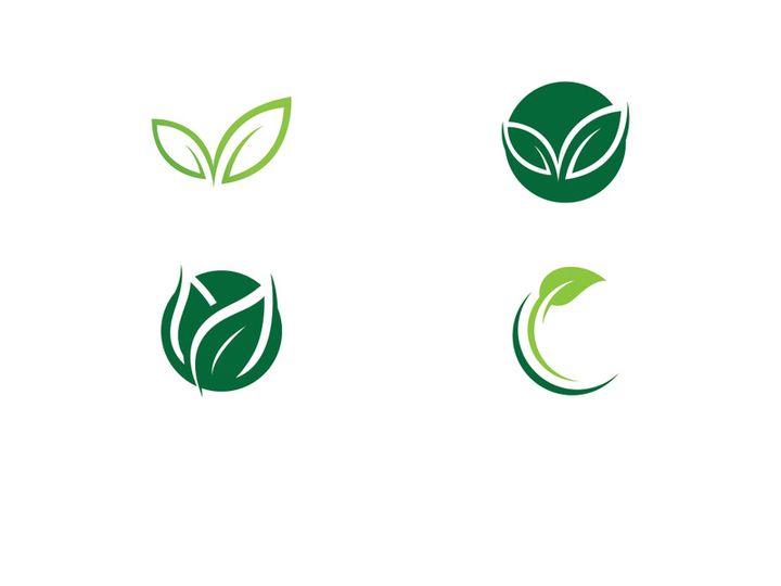 green leaf logo ecology nature vector icon