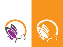 Butterfly logo icon vector design illustration