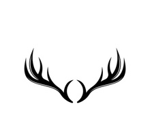 Deer logo template vector icon illustration design
