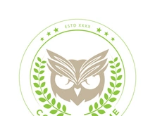 Owl logo