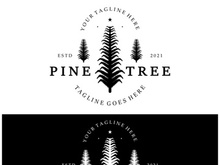 simple pine or fir tree logo,evergreen.for pine forest,adventurers,camping,nature,badges and business.vector