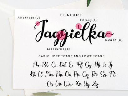 Jaggielka - Modern Calligraphy Font