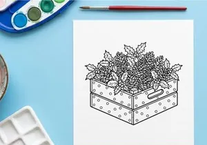 Christmas wooden crate with pine cones and holly leaves line art illustration
