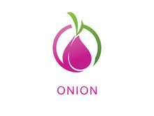 Onion logo vector , red onion icon . illustration Simple onion symbol