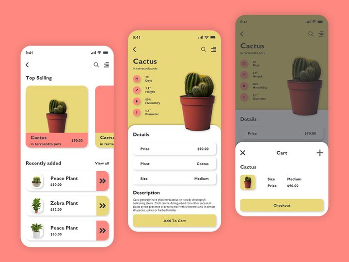 Cactus Plant