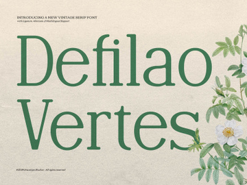 Defilao Vertes | New Vintage Serif preview picture