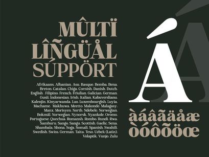 Mount Sagilite – Modern Serif Family Typeface with Variable Font