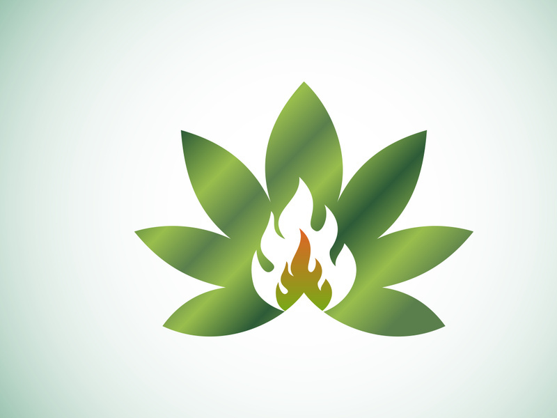 Marijuana leaf. Medical cannabis. Hemp oil. cannabis or marijuana leaf logo