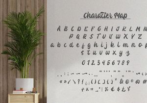 Katracy - Bold Script Font