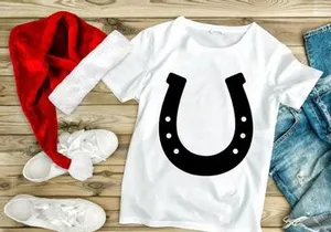 Black metal horseshoe isolated on white background good luck symbol