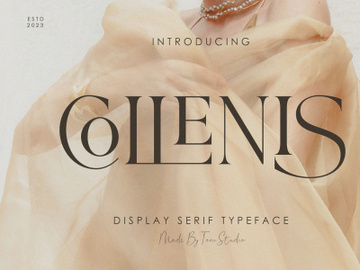 COLLENIS-Display serif preview picture