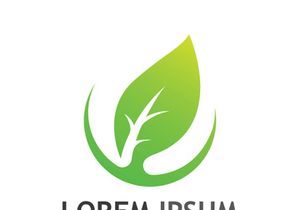 Natural green leaf logo design.