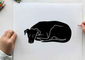 Silhouette of a sleeping dog curled up in a ball