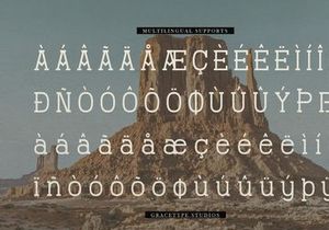 Therodit | Slab Serif Typeface