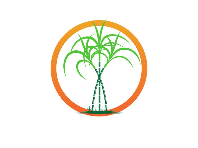Sugarcane logo vectcr