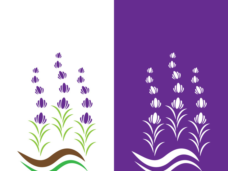 Fresh lavender flower logo vector flat design