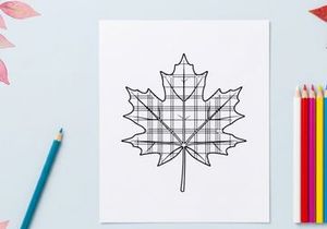 Close-up of a detailed autumn maple leaf. Natural fall foliage with intricate vein patterns.
