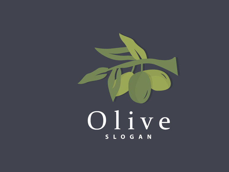 Olive Oil Logo, Olive Leaf Plant Herbal Garden Vector